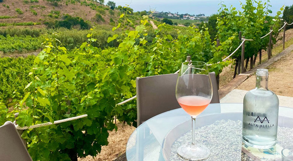 Ruta del Vino en Cataluña