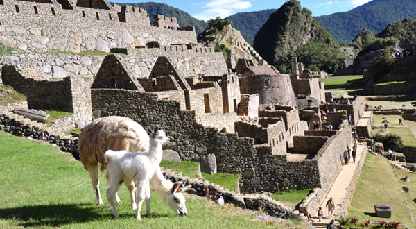 Viajes Palacio